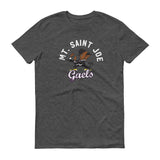 MSJ Short-Sleeve T-Shirt dark heather grey