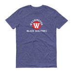 Washington Black Senators t-shirt heather blue