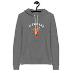 Cleveland Browns Unisex hoodie